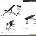 Benches and preacher curl