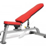 Dumbbell gym bench